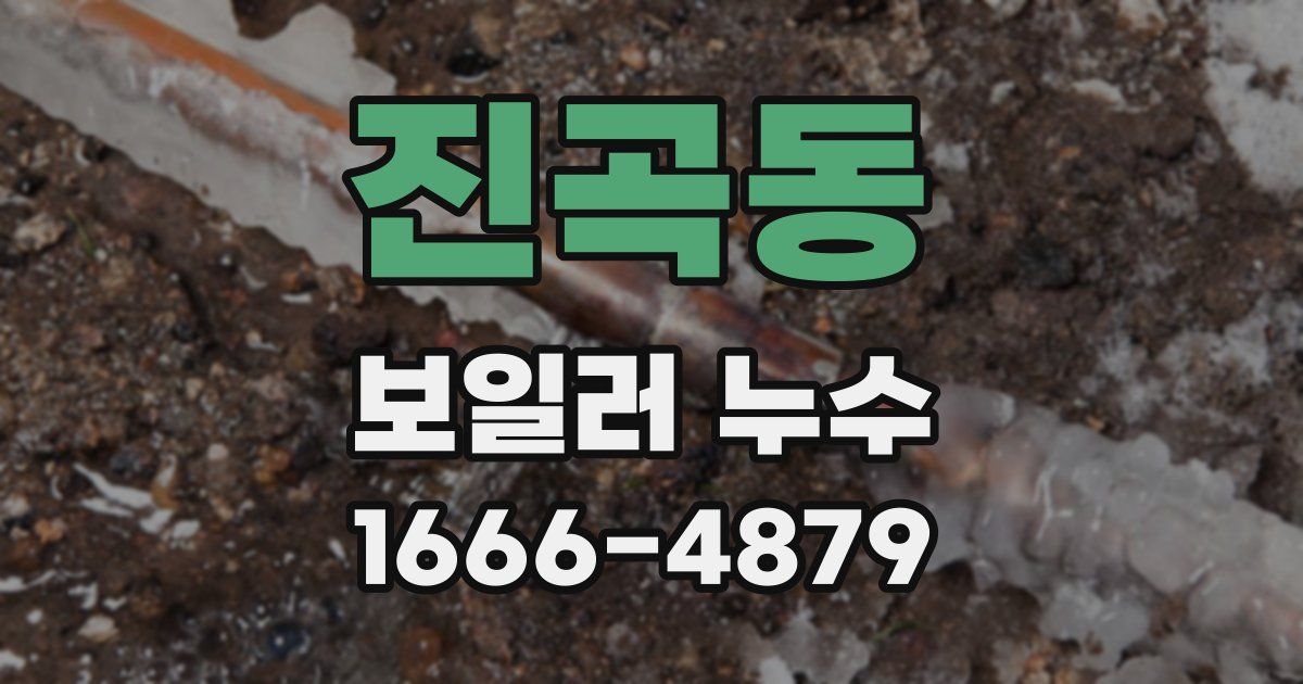진곡동 보일러 누수