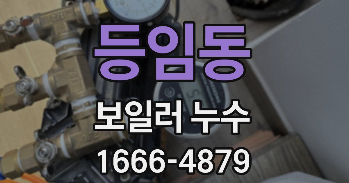 등임동 보일러 누수