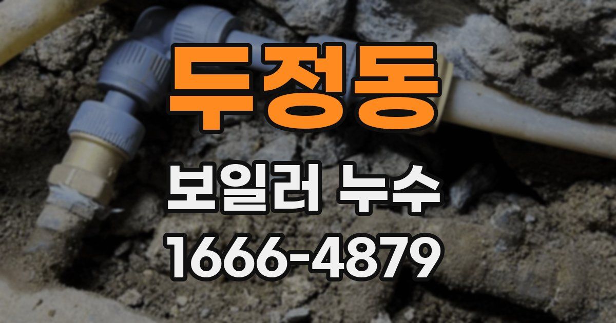 두정동 보일러 누수