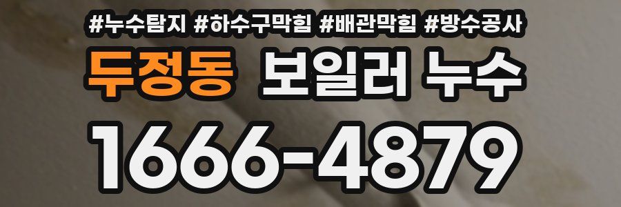 두정동 보일러 누수