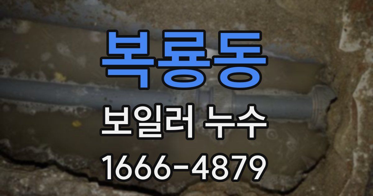 복룡동 보일러 누수
