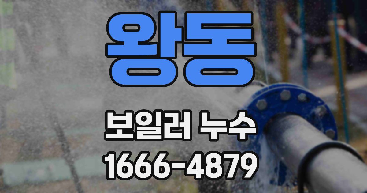 왕동 보일러 누수