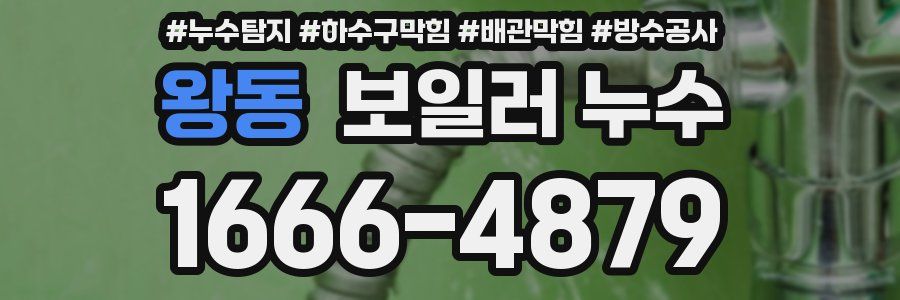 왕동 보일러 누수