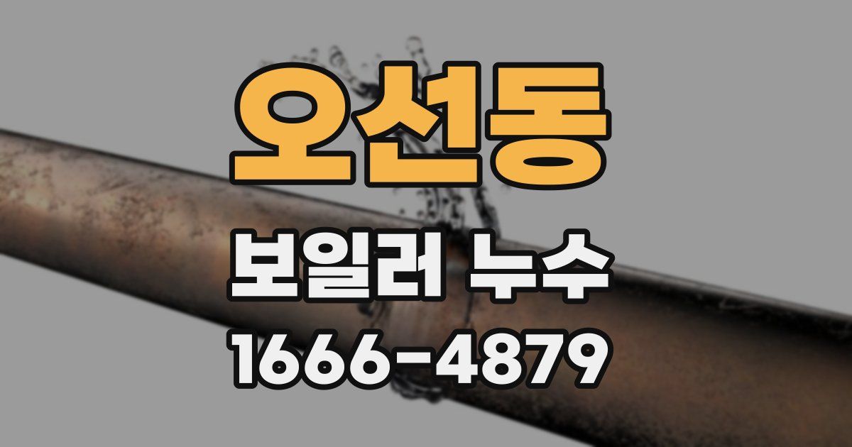 오선동 보일러 누수