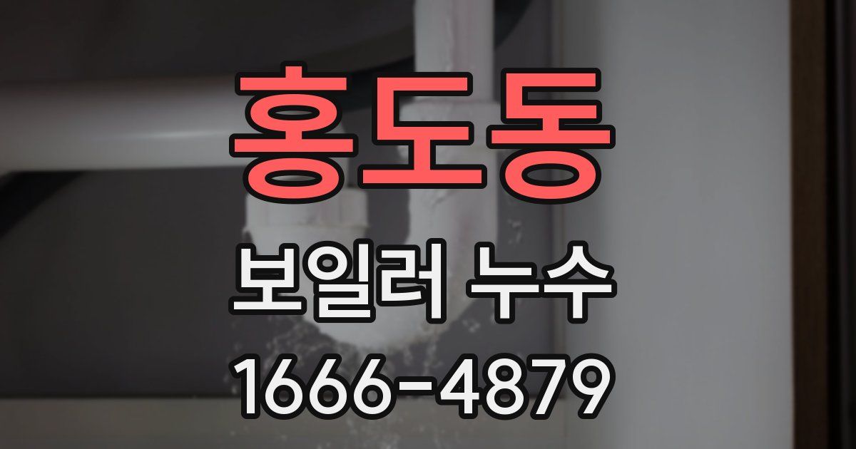 홍도동 보일러 누수
