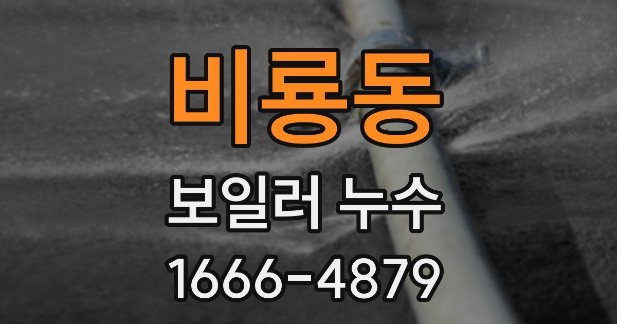 비룡동 보일러 누수