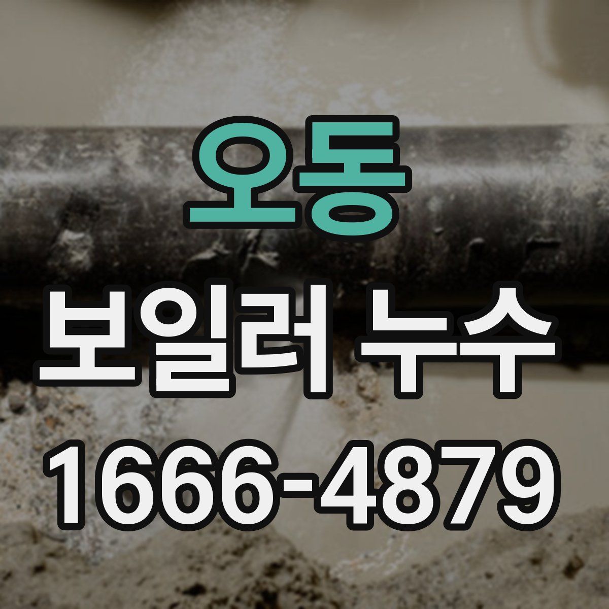 오동 보일러 누수