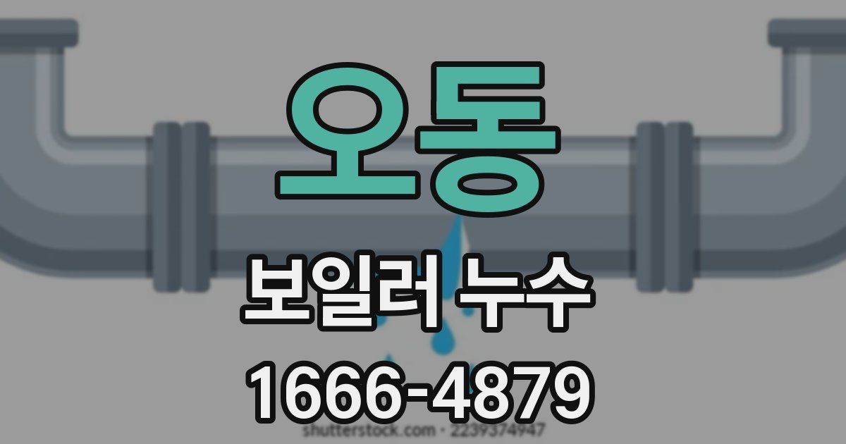 오동 보일러 누수