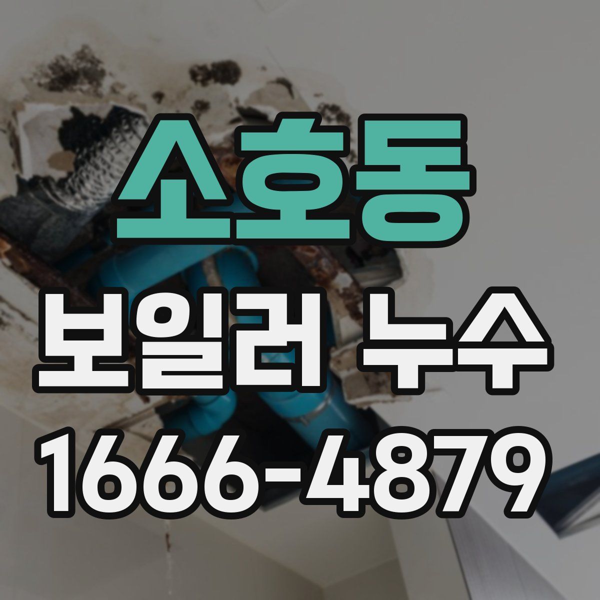 소호동 보일러 누수