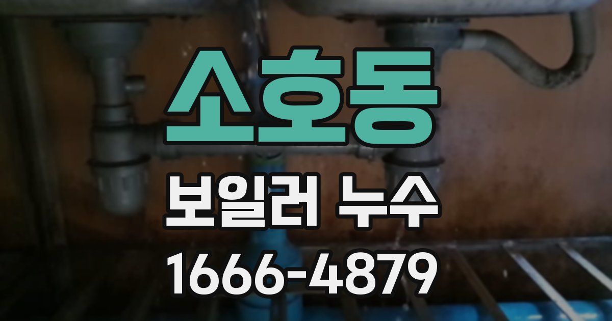 소호동 보일러 누수