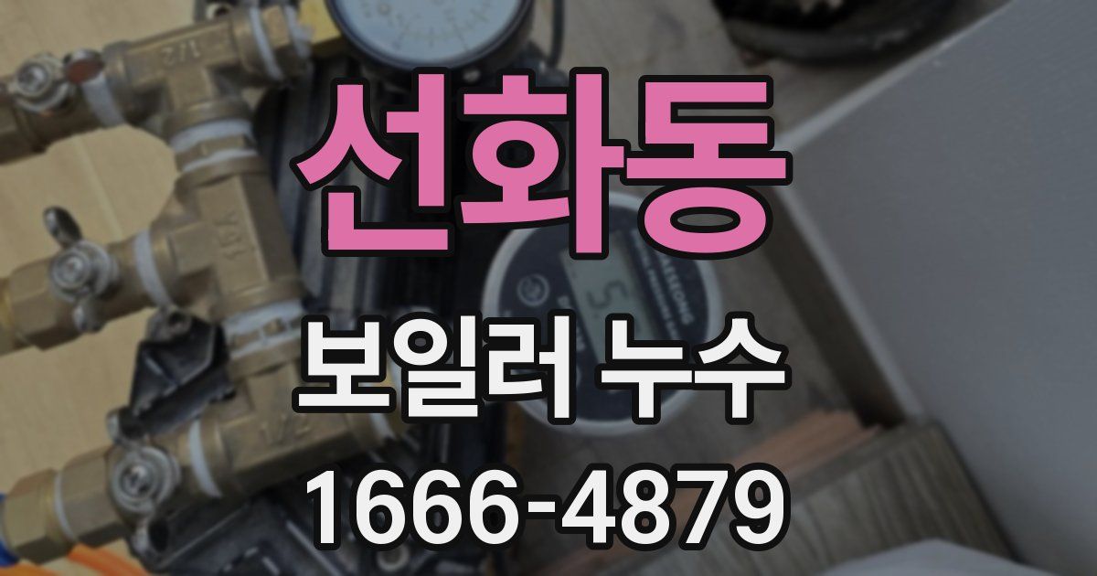 선화동 보일러 누수
