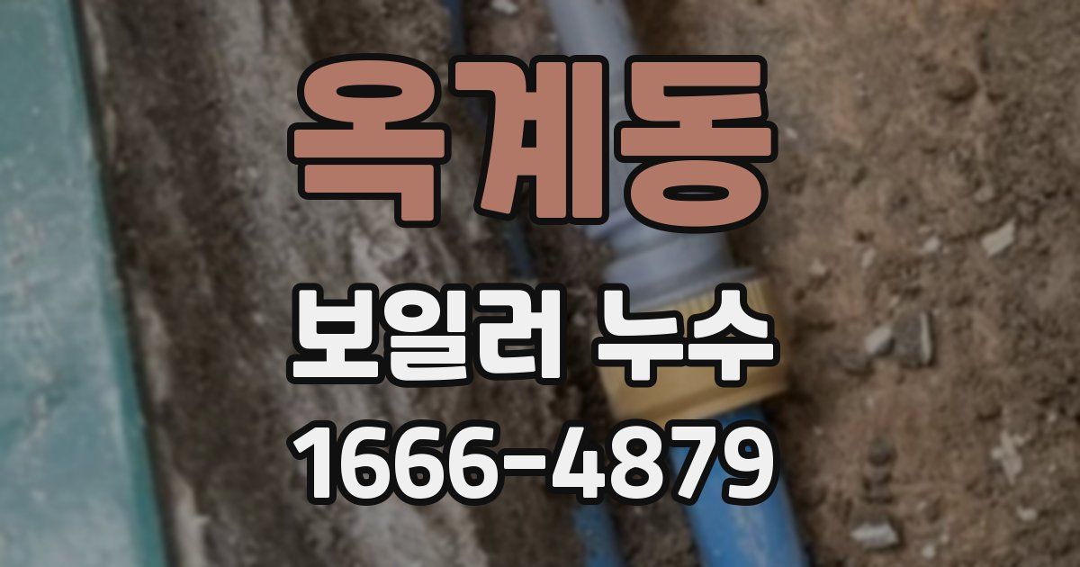 옥계동 보일러 누수