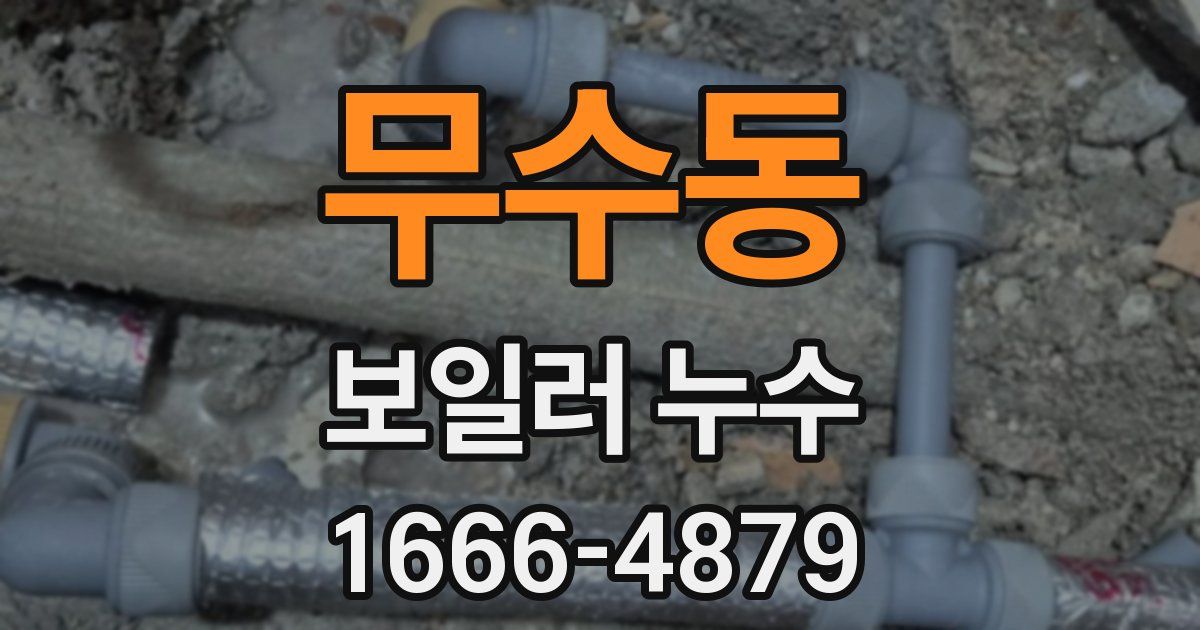 무수동 보일러 누수