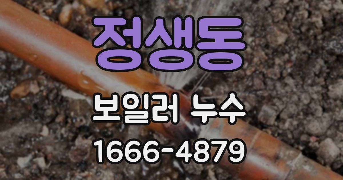 정생동 보일러 누수