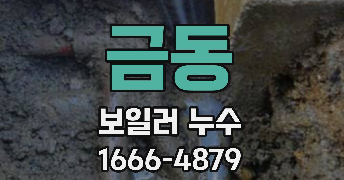 금동 보일러 누수