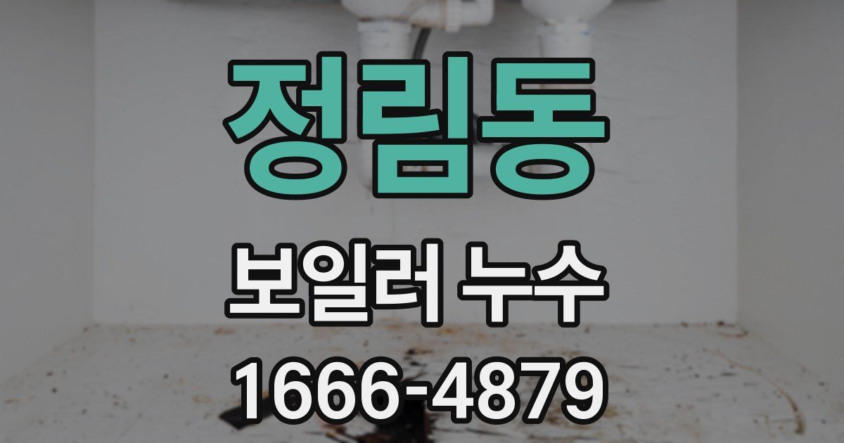 정림동 보일러 누수