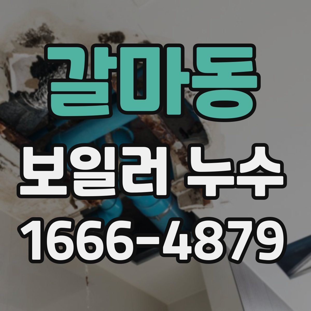 갈마동 보일러 누수