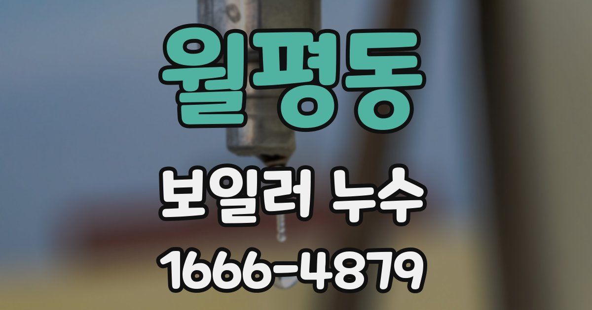 월평동 보일러 누수