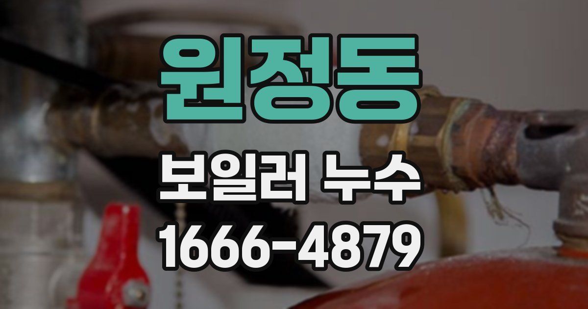 원정동 보일러 누수