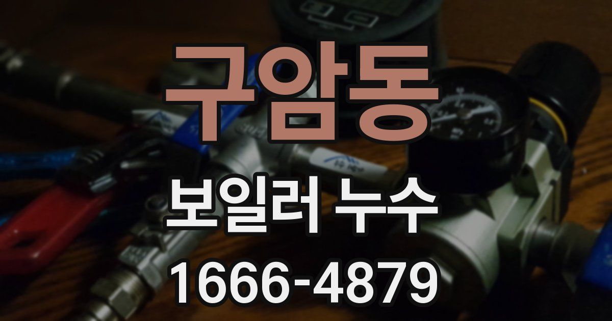 구암동 보일러 누수