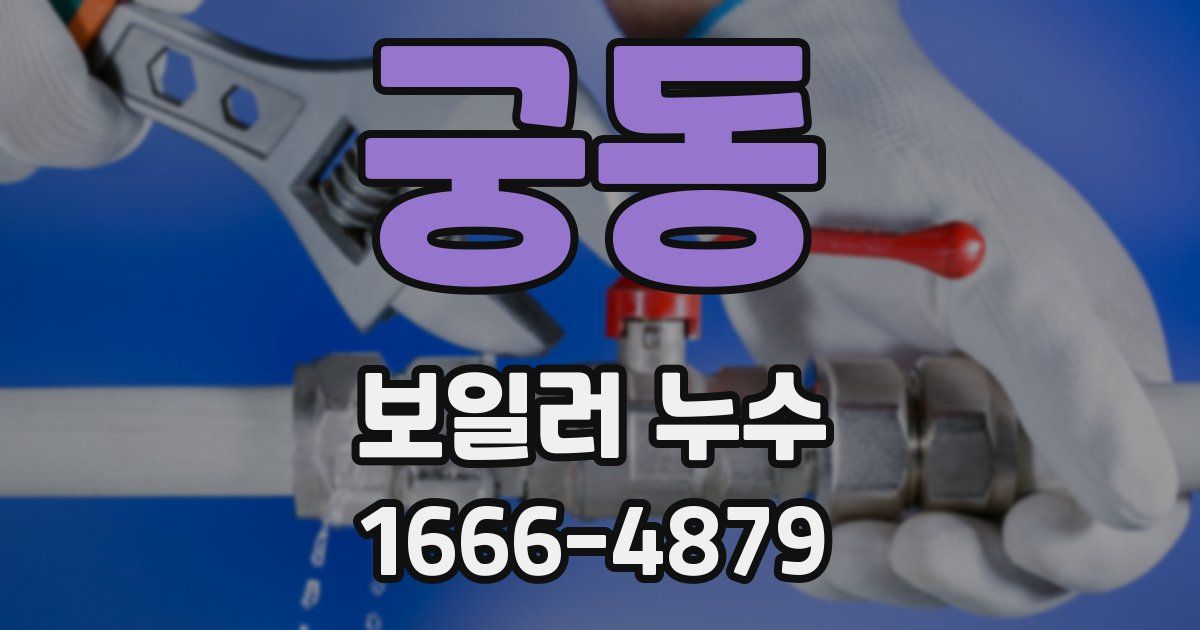 궁동 보일러 누수