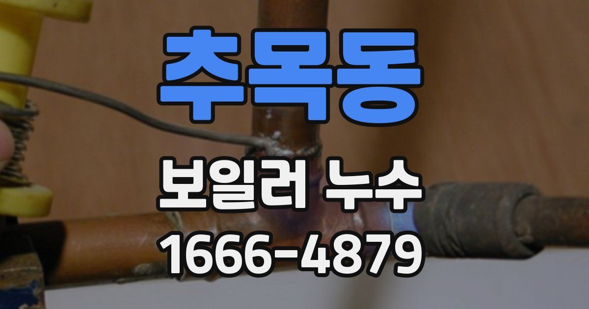 추목동 보일러 누수