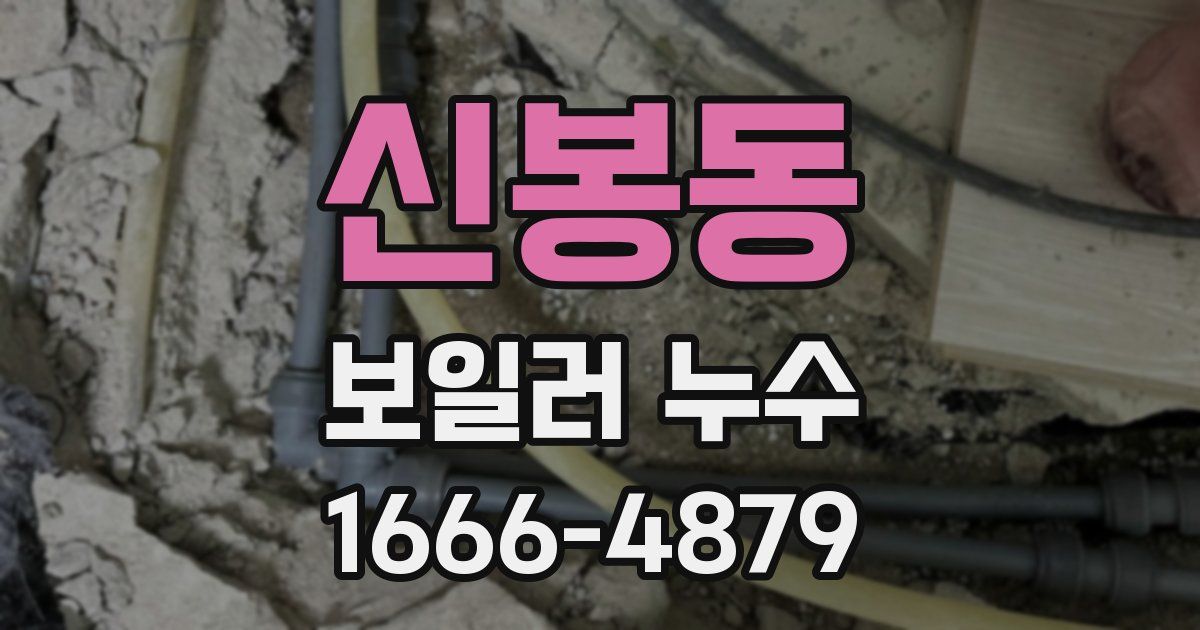 신봉동 보일러 누수