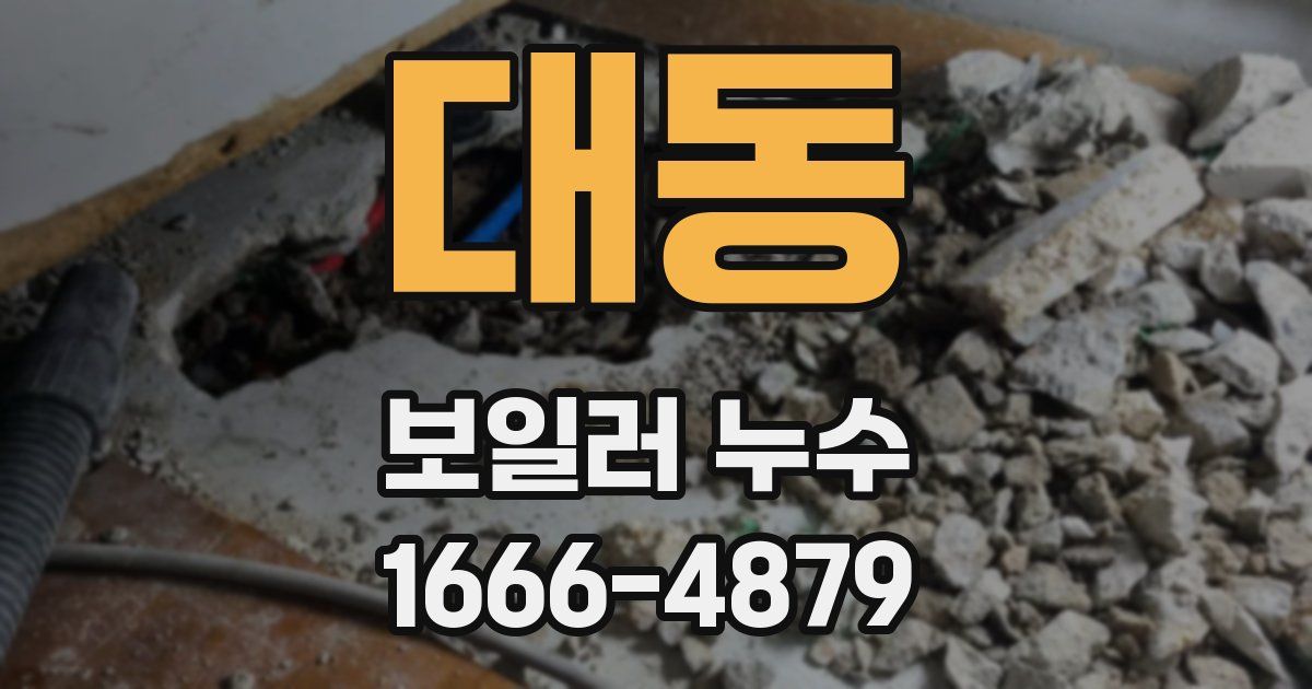 대동 보일러 누수