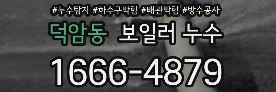 덕암동 보일러 누수
