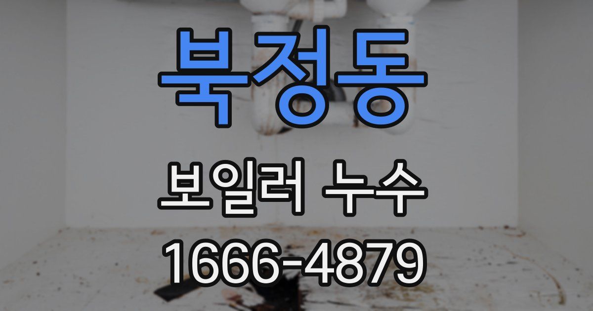 북정동 보일러 누수