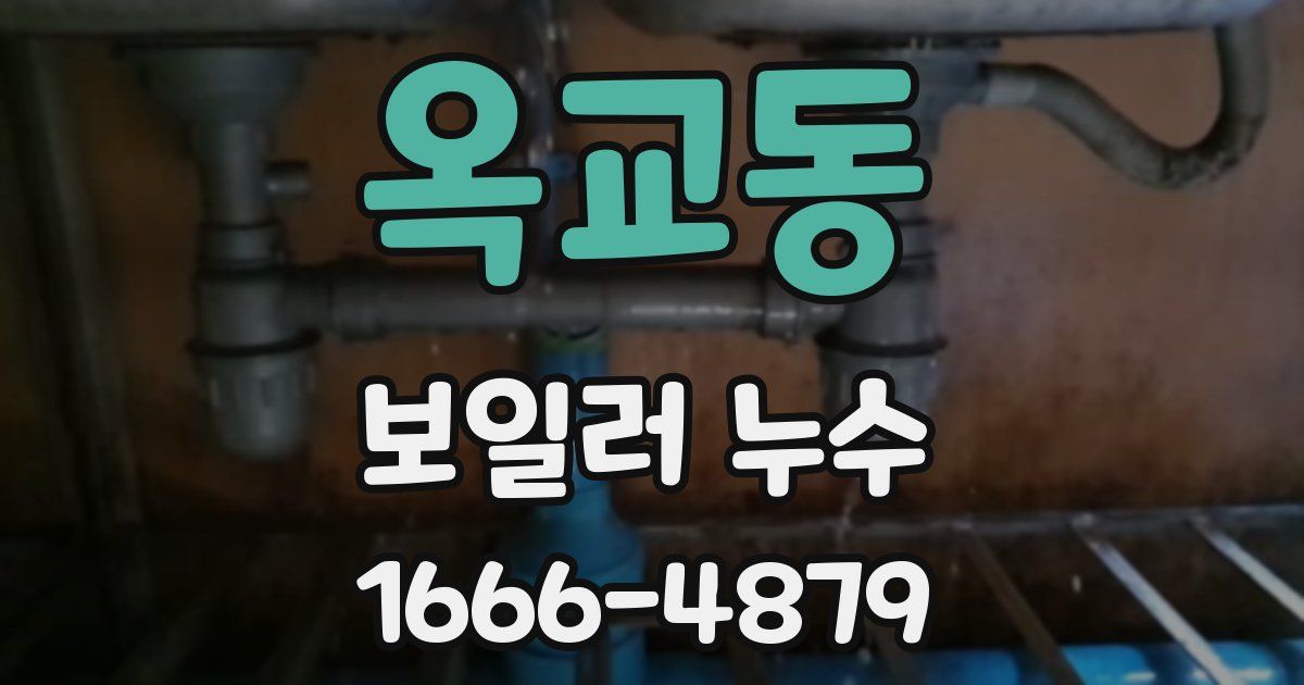 옥교동 보일러 누수