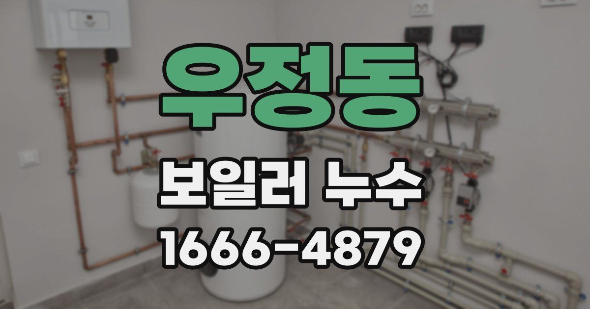 우정동 보일러 누수