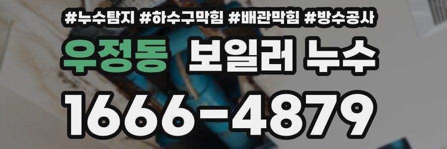 우정동 보일러 누수