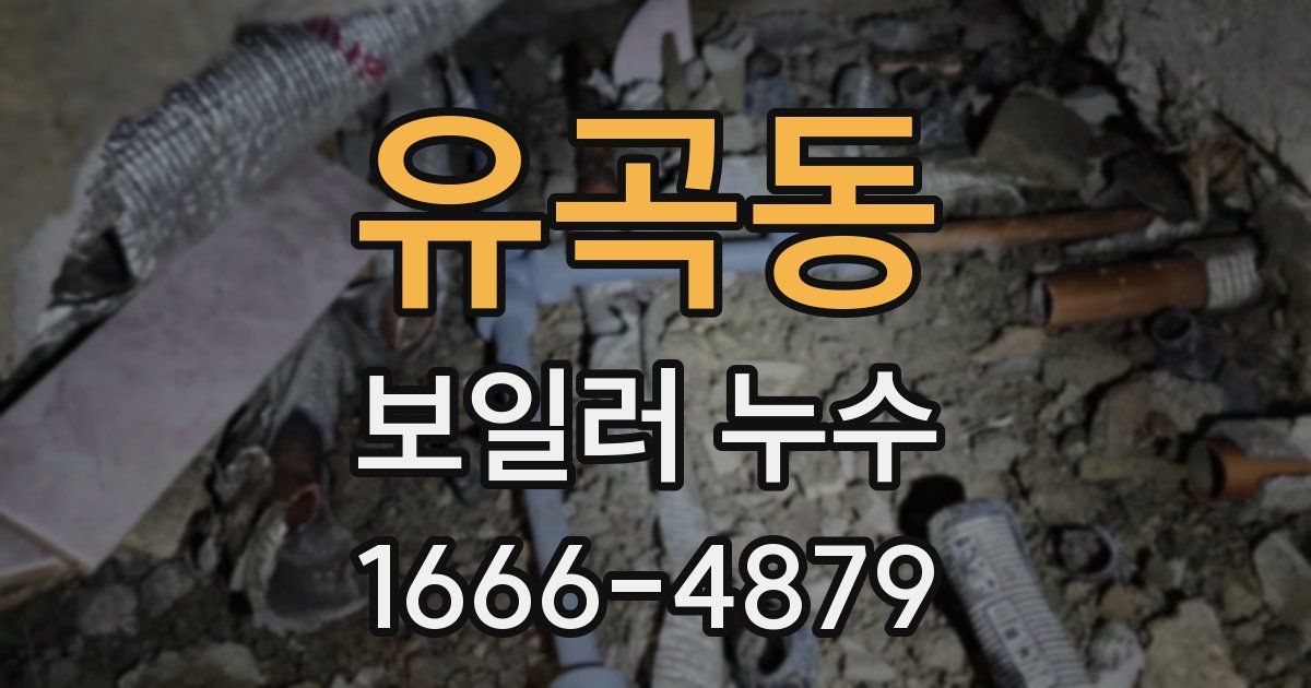 유곡동 보일러 누수