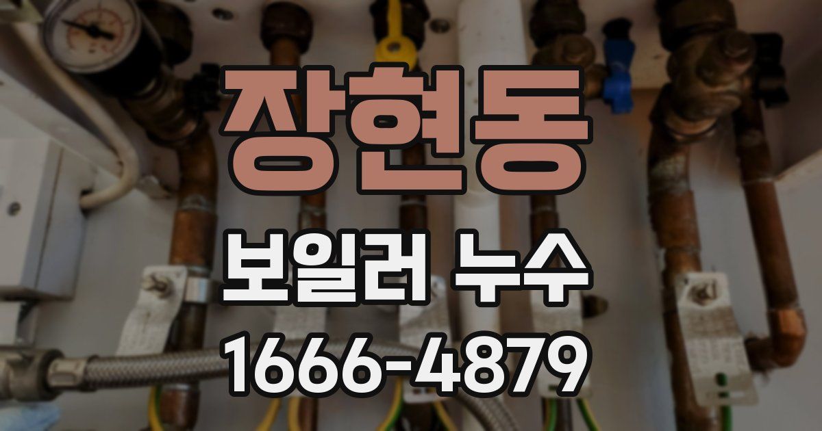 장현동 보일러 누수