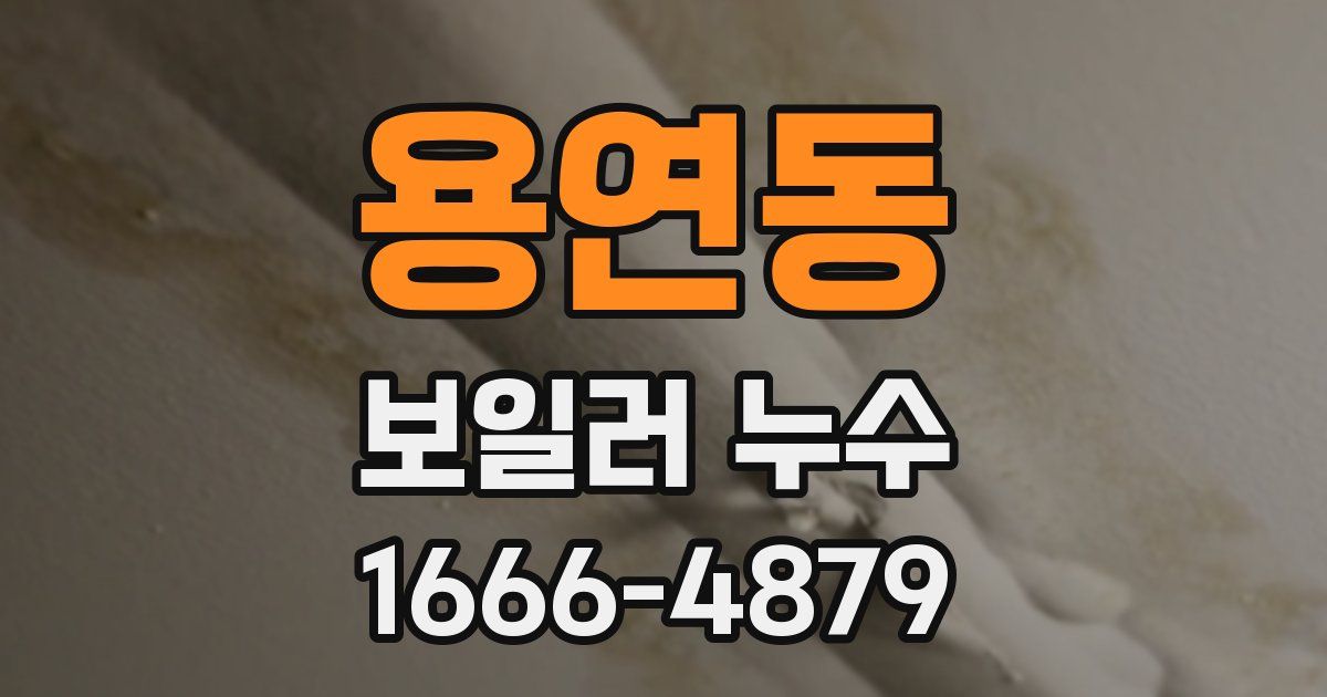 용연동 보일러 누수