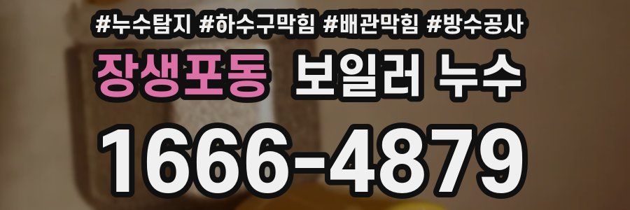 장생포동 보일러 누수