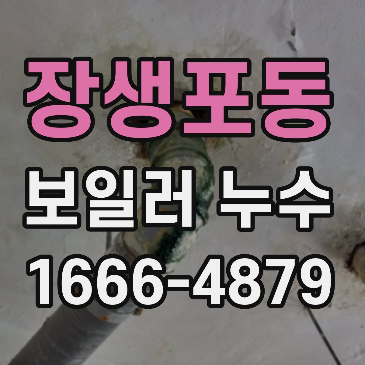 장생포동 보일러 누수