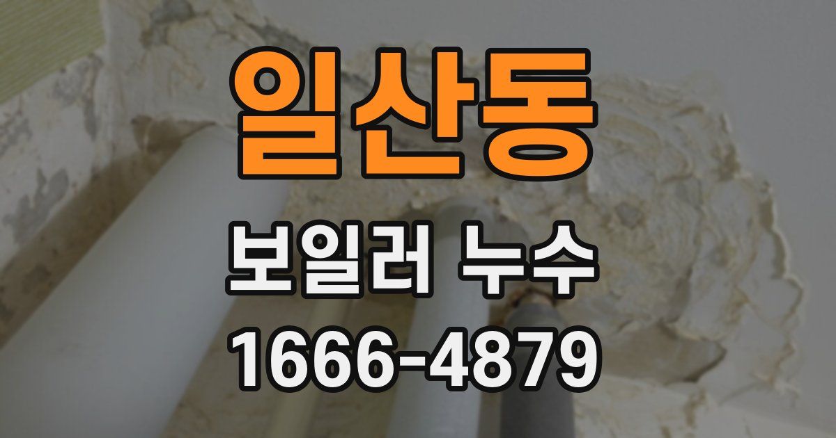 일산동 보일러 누수
