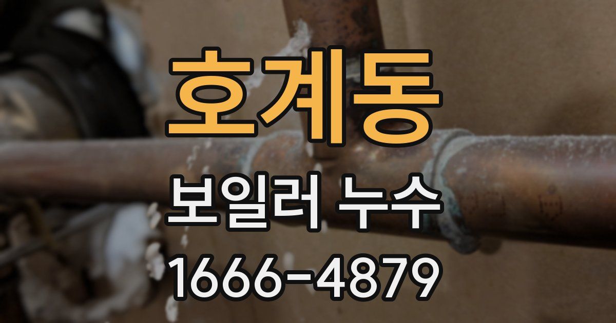 호계동 보일러 누수