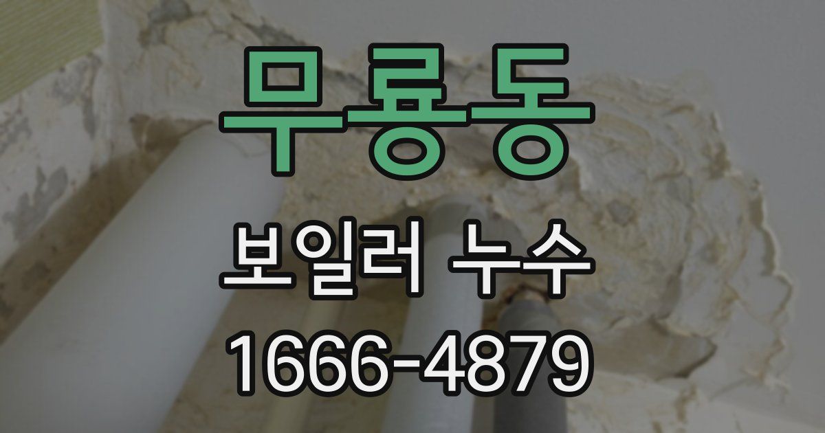 무룡동 보일러 누수