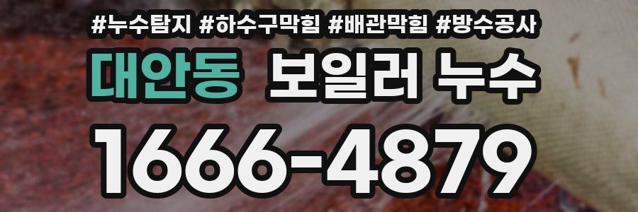대안동 보일러 누수