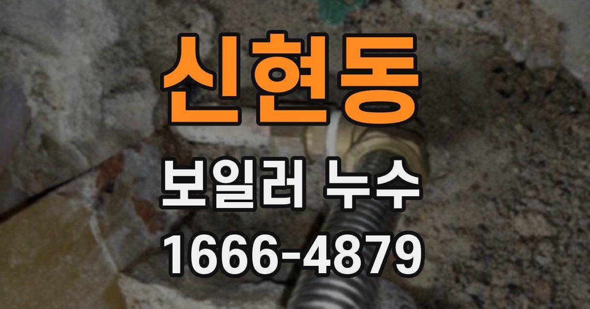 신현동 보일러 누수