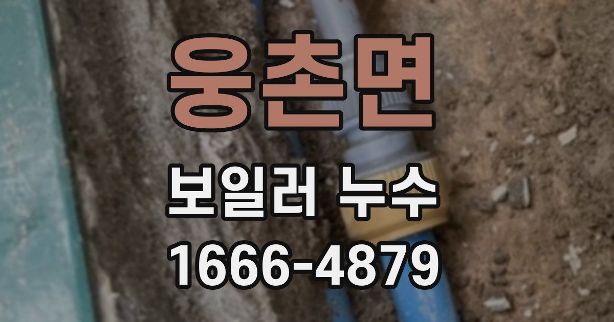 웅촌면 보일러 누수