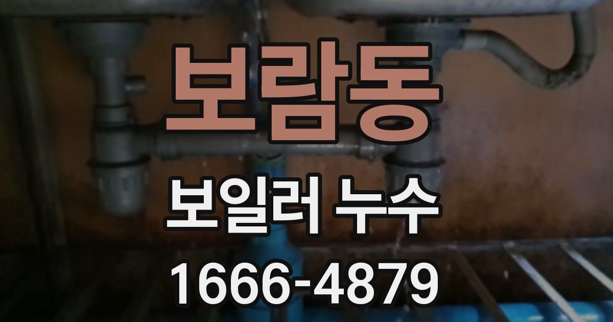 보람동 보일러 누수