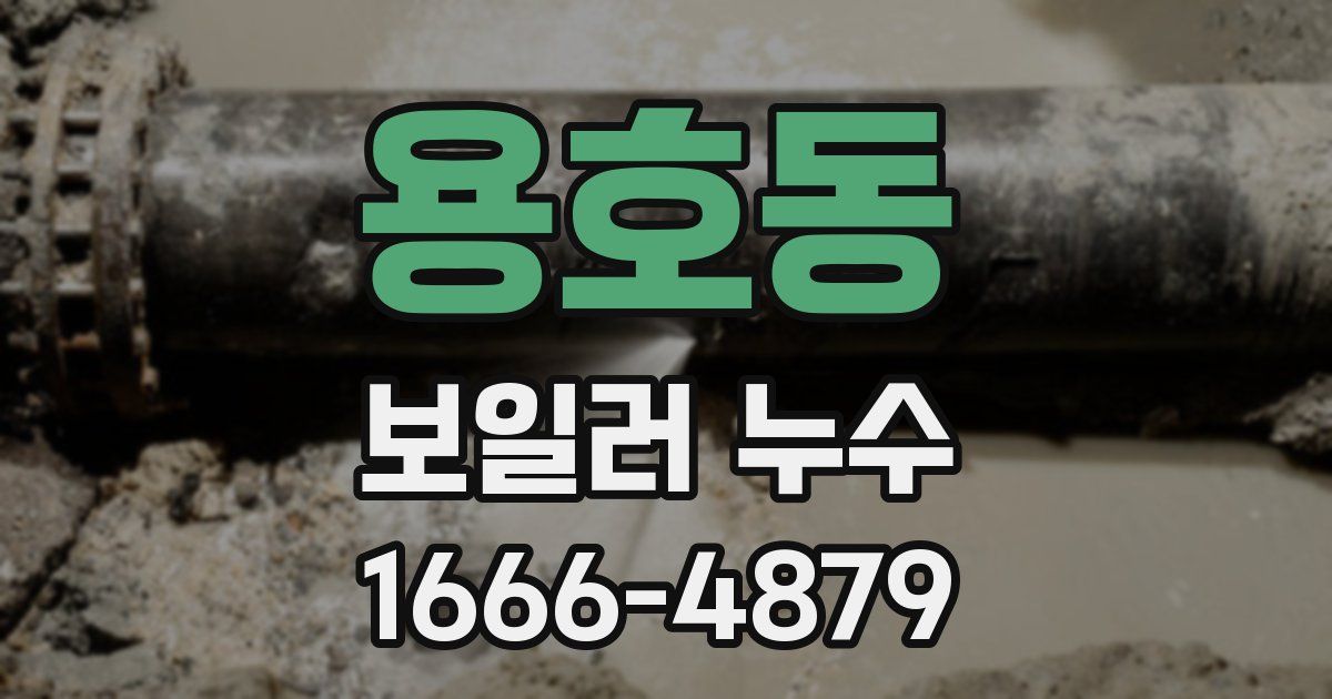 용호동 보일러 누수