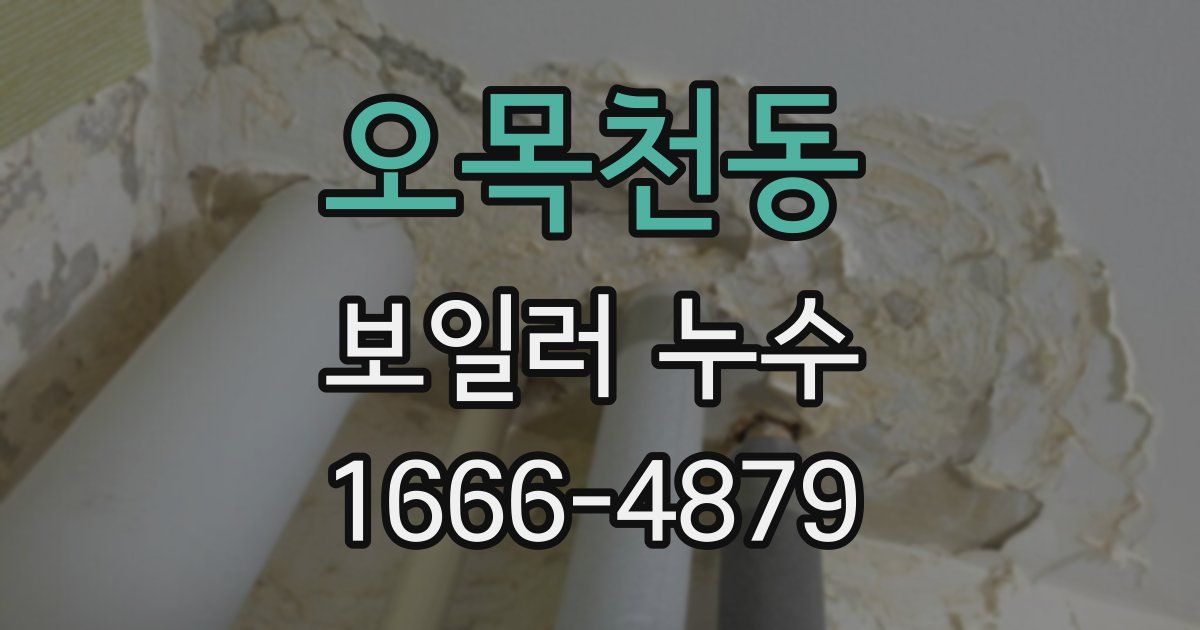 오목천동 보일러 누수