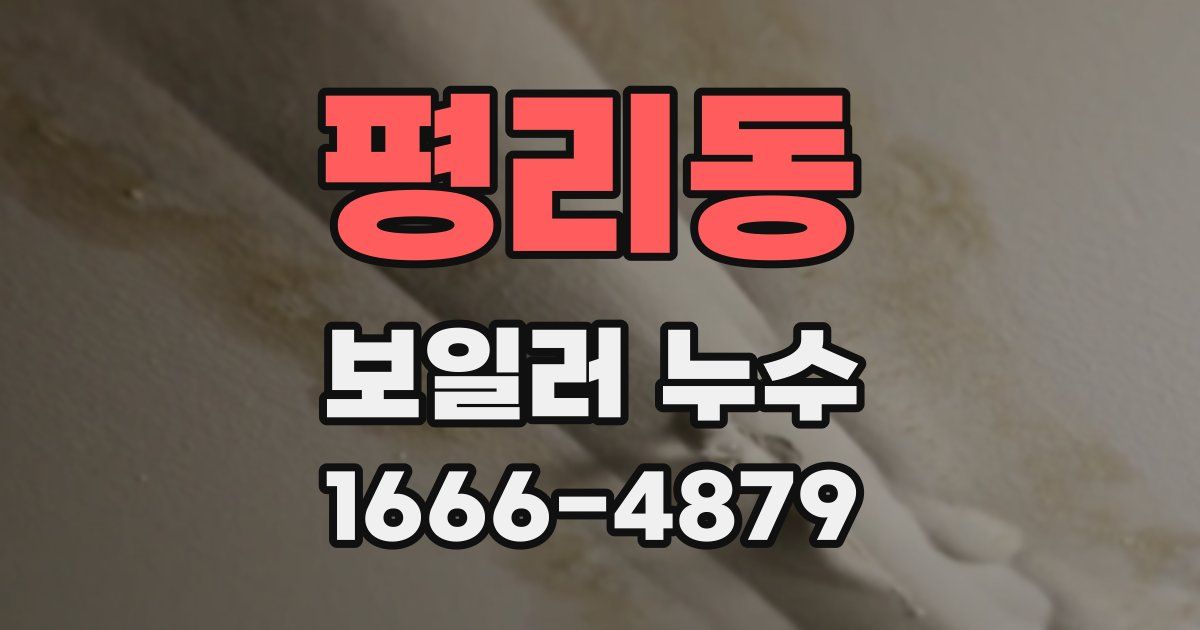 평리동 보일러 누수