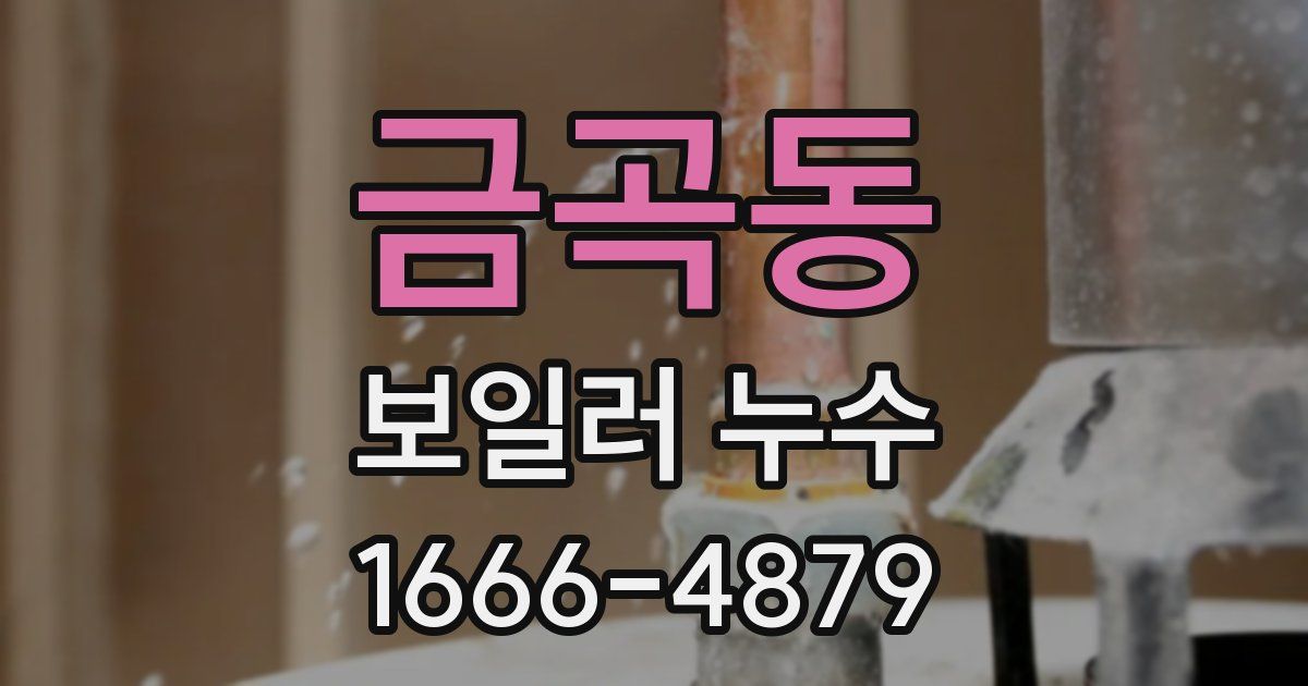금곡동 보일러 누수