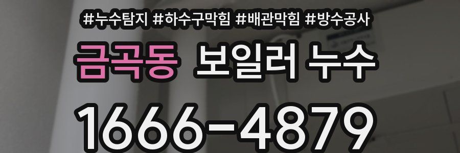 금곡동 보일러 누수